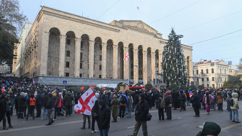 У парламента Грузии в Тбилиси продолжается митинг протеста