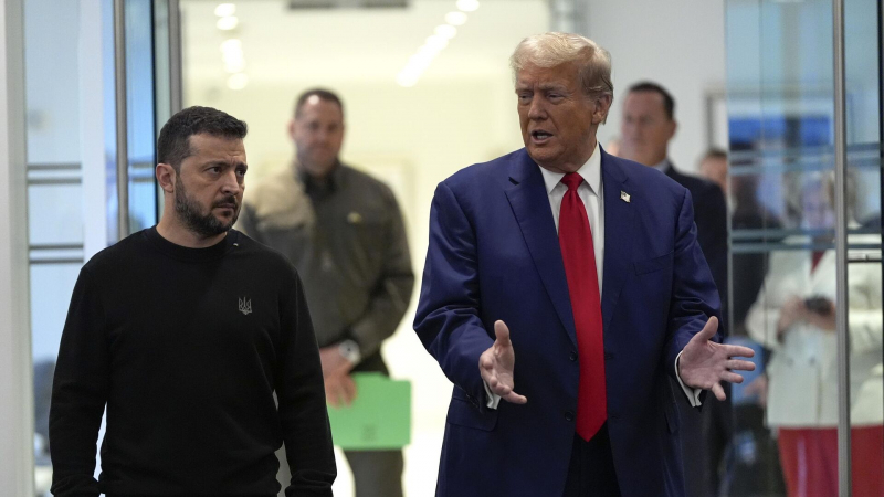 "Все верно": на Украине высмеяли Зеленского после его унижения Трампом