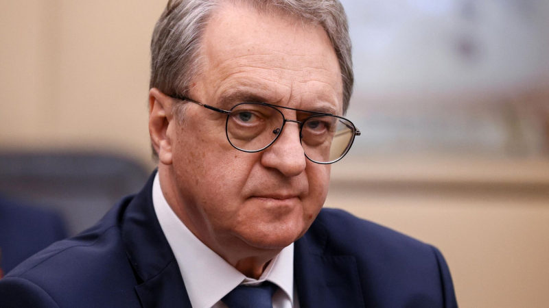 Замглавы МИД России обсудил с послом Египта ситуацию в Сирии